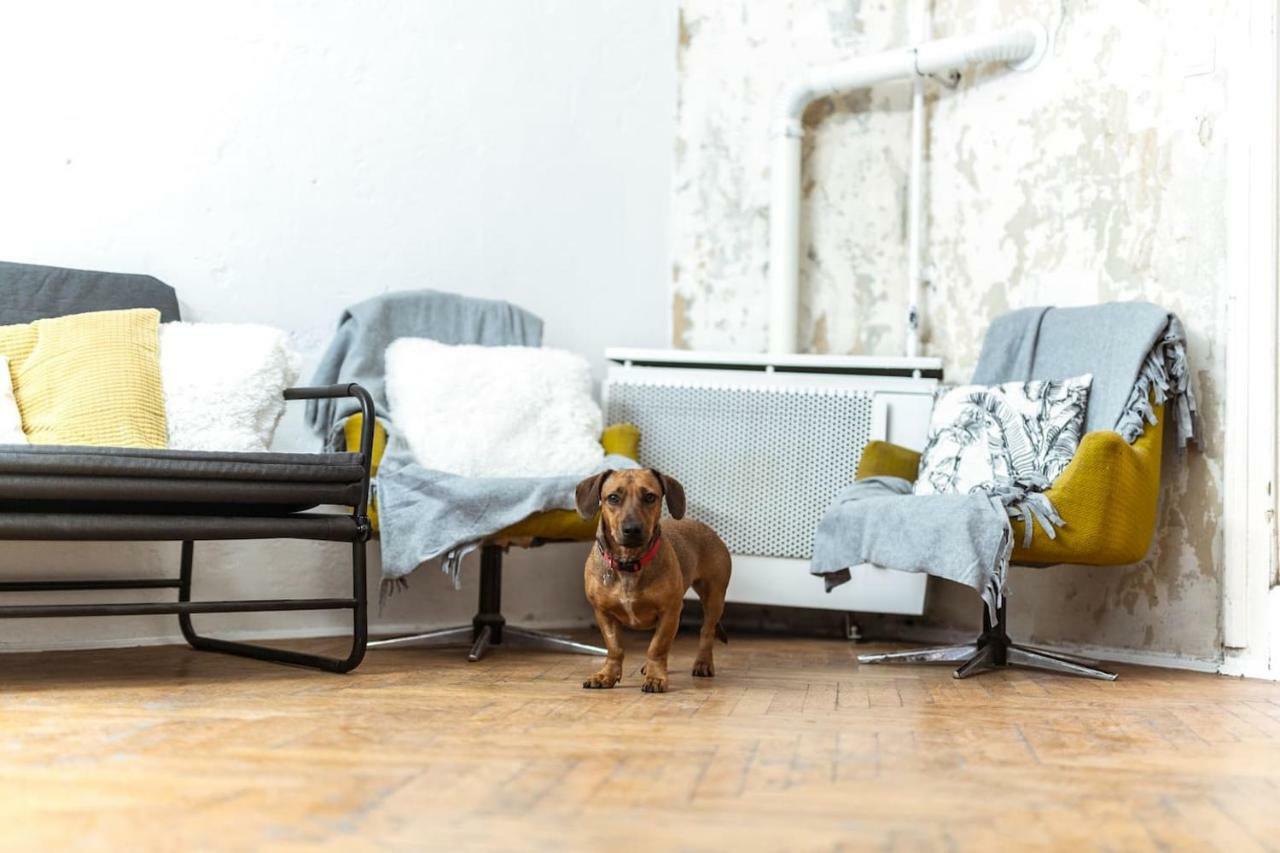 A Szoba Apartman Pécs Buitenkant foto